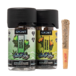 GRDNT After Hour Blend Pre Rolls 3.5G
